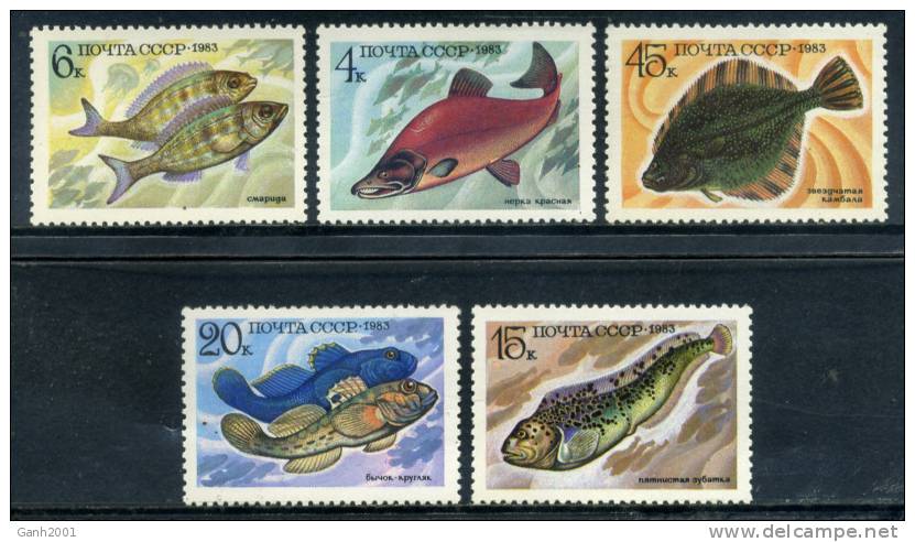 RUSIA RUSSIA / FAUNA PECES Fish Fische / Eh22 - Pesci