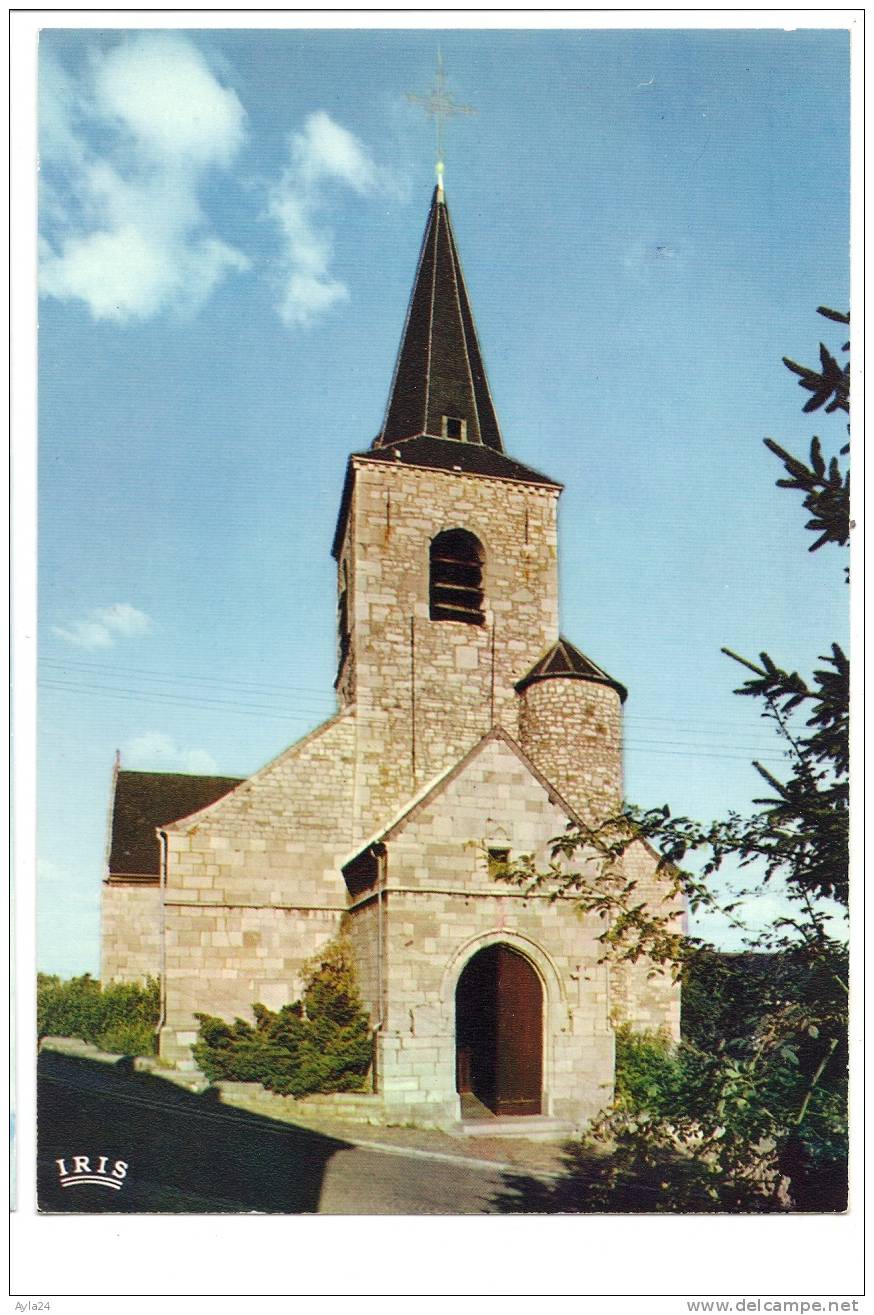 CPSM Belgique  MONTIGNIES LE TILLEUL  Montigny Eglise Saint Martin Ed Librairie Dusaucy - Montigny-le-Tilleul