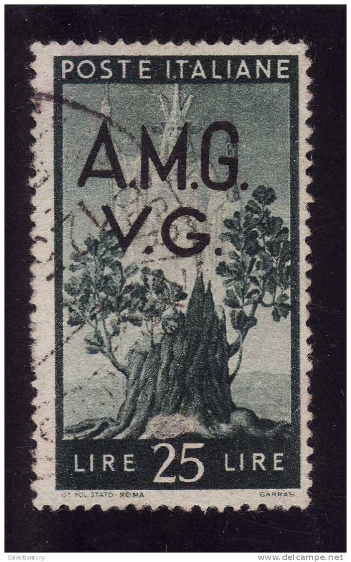 1945-47 - A.M.G.-V.G. - DEMOCRATICA  -  CAT. SASS. - N° 19 - USATO -  VALORE 12.00€ - Oblitérés