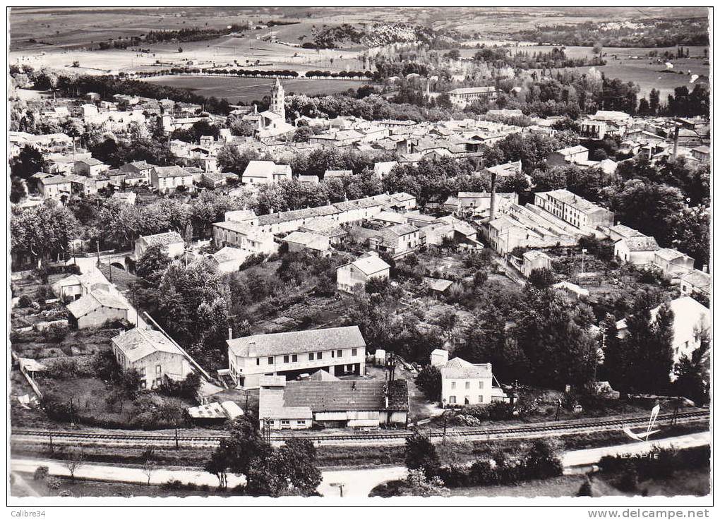 CPSM En Avion Au Dessus De LABRUGUIERE (Coopérative Laitière Visible) - Labruguière