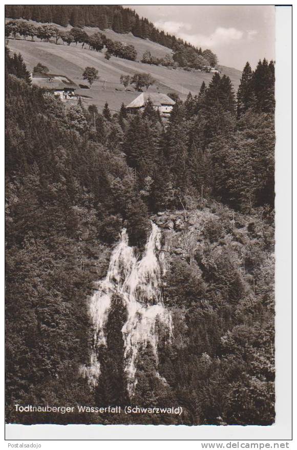 (DE732) TODTNAUBERGER WASSERFALL (SCHWARZWALD) - Todtnau