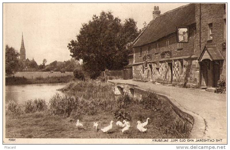 5280      Regno  Unito   Salisbury   The Cathedral And  Old Mill   NV - Salisbury