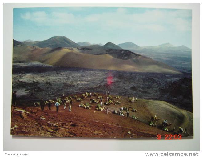 1480  LANZAROTE MONTAÑA DEL FUEGO CAMELLOS CAMEL  CANARIAS CANARY ISLANDS AÑOS 1970  MIRA OTRAS SIMILARES EN MI TIENDA - Lanzarote