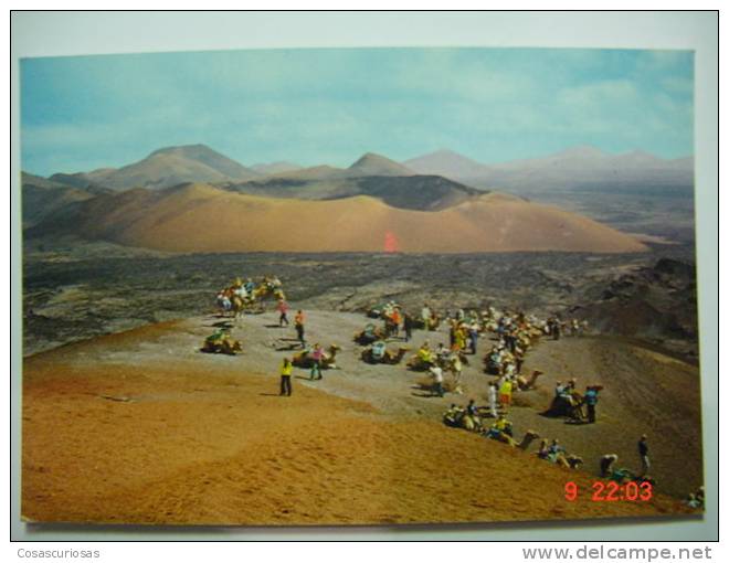 1481  LANZAROTE MONTAÑA DEL FUEGO CAMELLOS CAMEL  CANARIAS CANARY ISLANDS AÑOS 1970  MIRA OTRAS SIMILARES EN MI TIENDA - Lanzarote