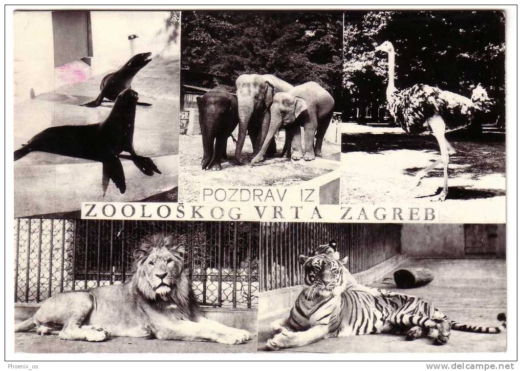 CROATIA - ZAGREB, Zoo Garden, 1965. - Leoni