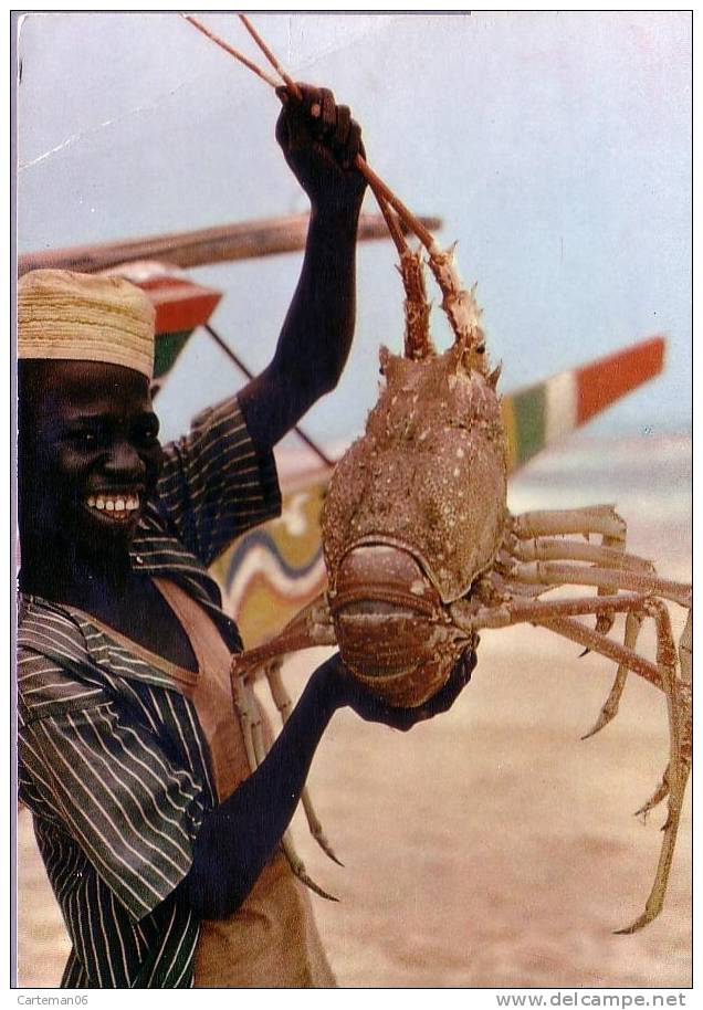 Afrique En Couleurs - Pêcheur De Langoustes - Non Classés