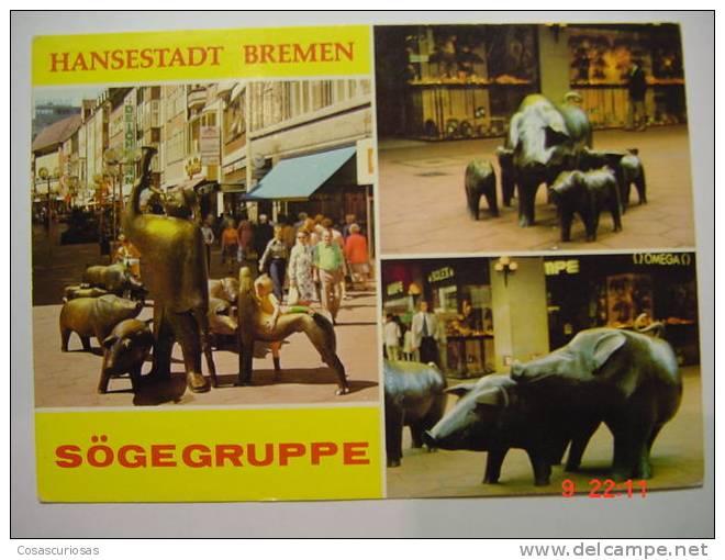 1545 PIG CERDO COCHON PORC SCHWEIN  BREMEN  POSTCARD   YEARS  1970  OTHERS IN MY STORE - Schweine