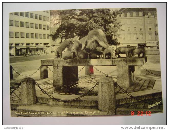 1549 AARHUS CERES BRONDEN PIG CERDO COCHON PORC SCHWEIN    POSTCARD   YEARS  1960  OTHERS IN MY STORE - Pigs