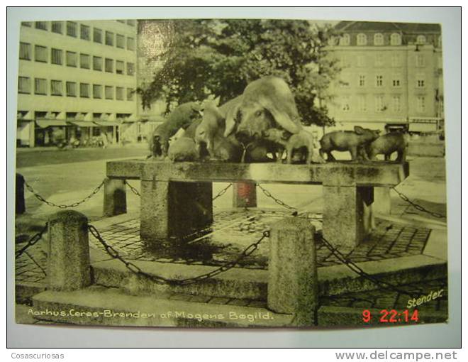 1570 AARHUS CERES BRONDEN PIG CERDO COCHON PORC SCHWEIN    POSTCARD   YEARS  1960  OTHERS IN MY STORE - Cerdos