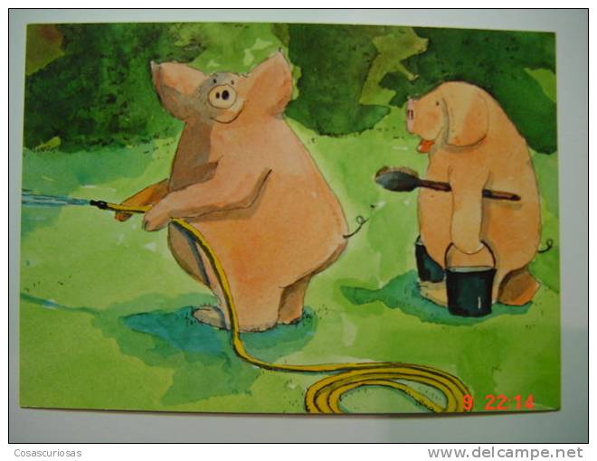 1572  SWITZERLAND SUISSE PIG CERDO PORC COCHON SCHWEIN   POSTCARD YEAR 1970 OTHERS IN MY STORE - Pigs