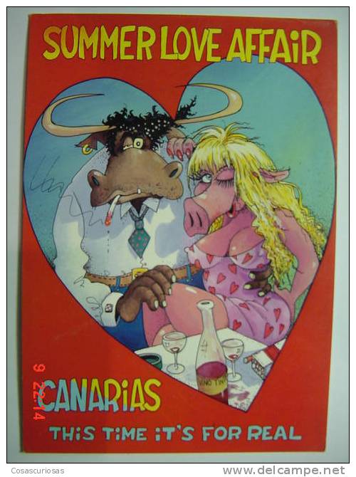 1569  CANARY ISLANDS PIG CERDO PORC COCHON SCHWEIN   POSTCARD YEAR 1980 OTHERS IN MY STORE - Pigs