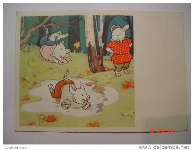 1548 RUSSIAN URSS PIG CERDO PORC COCHON SCHWEIN    POSTCARD YEAR 1950 OTHERS IN MY STORE - Pigs