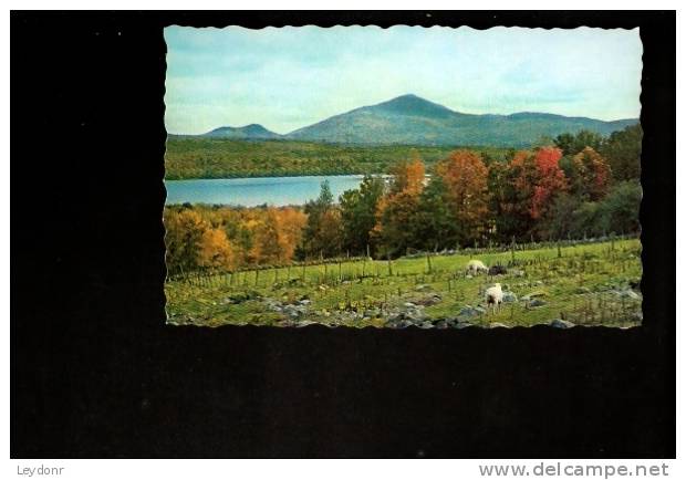 Mt. Blue 3,187 Ft. Weld, Maine - Sonstige & Ohne Zuordnung