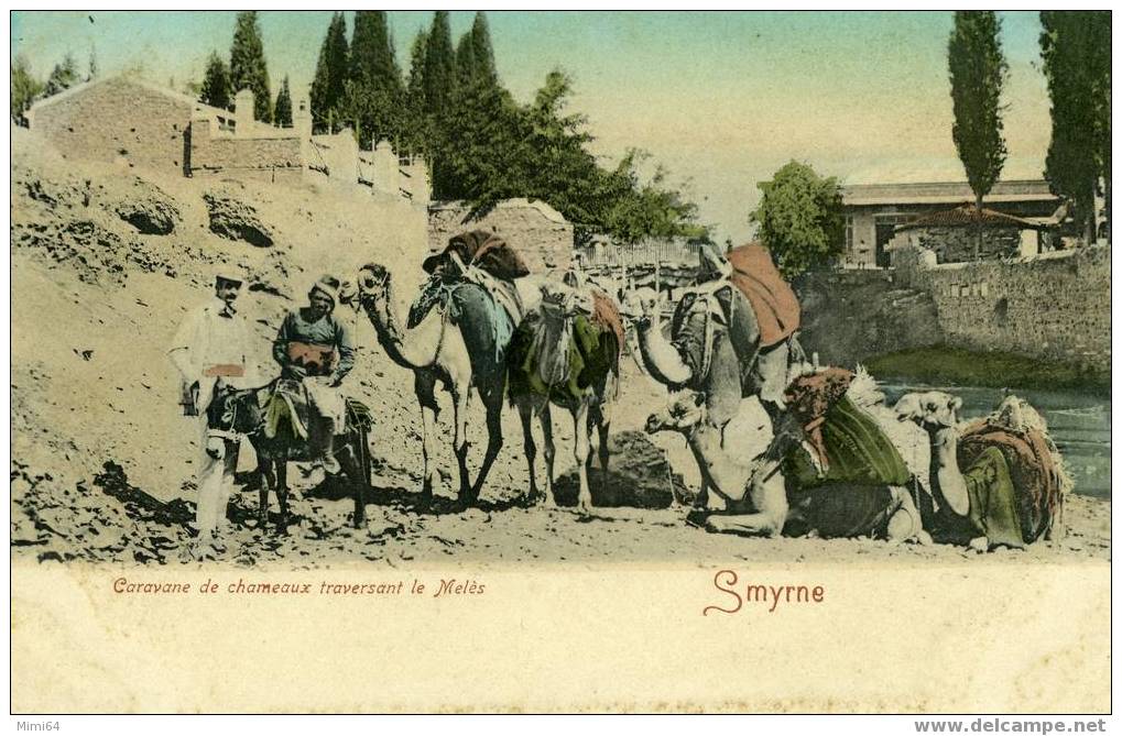 --SMYRNE-- CARAVANE DE CHAMEAUX TRAVERSANT LE MELES-- (Carte Précurseur) - Turkey