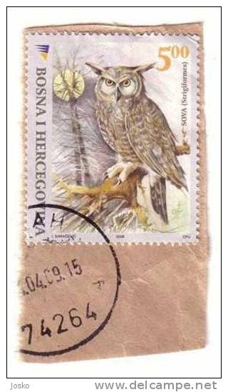 OWL (Bosnia Used Stamp) Hibou Chouette Eule Buho Gufo Uil Owls Hibous Chouettes Bird Oiseau Rapace Birds Of Pray Raptors - Owls