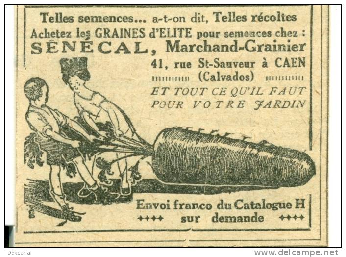 Reclame Uit Oude Almanach 1928 - Caen - Marchand-Grainier SENECAL - Reclame