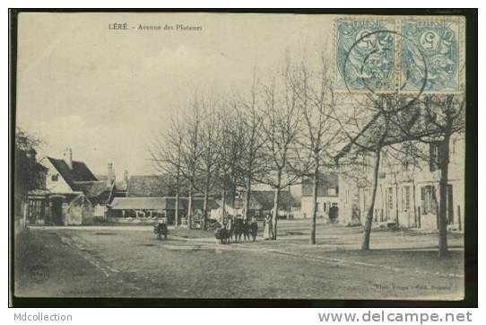 18 LERE / Avenue Des Platanes / - Lere