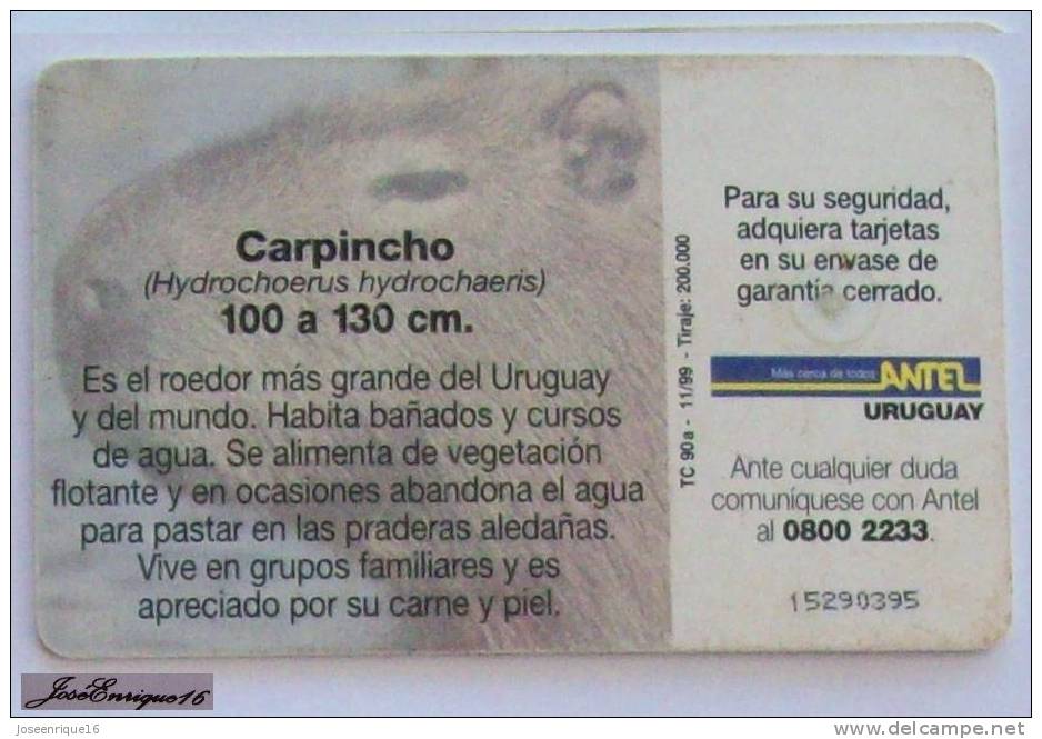 TC 90a HYDROCHOERUS HYDROCHAERIN - CARPINCHO - URUGUAY ANTEL - Capybara - Uruguay