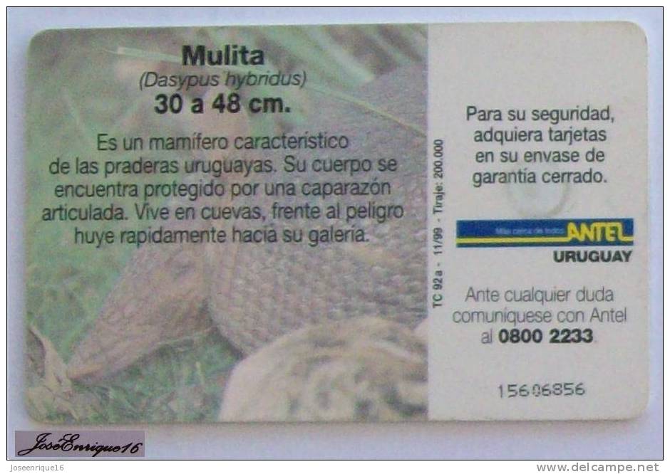 TC 92a MULITA, DASYPUS HIBRIDUS, URUGUAY - ANTEL - Uruguay