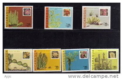 Nicaragua, Cactus Et Leurs Fleurs. Yv. #  1479/81 +PA. 1220/23. Cote 8.00 €.  7 T-p Neufs ** - Cactus