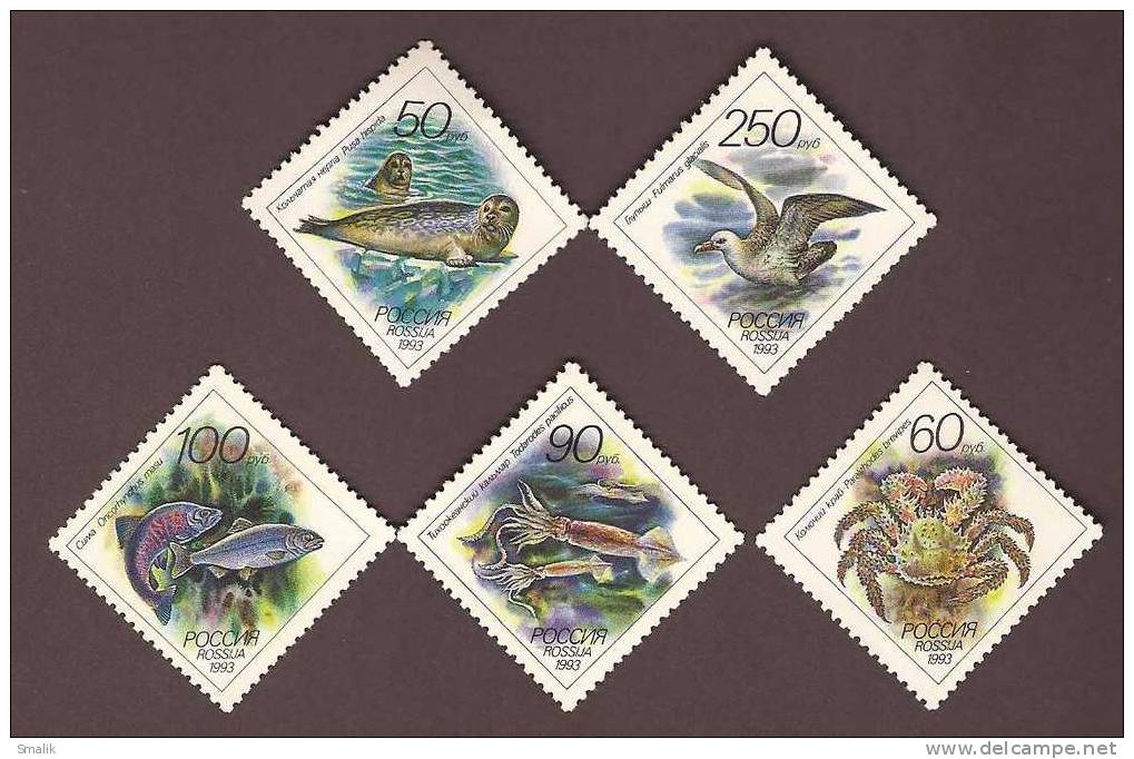 Russian Federation 1993, Marine Life, Fishes 5 Stamps MNH - Maritiem Leven