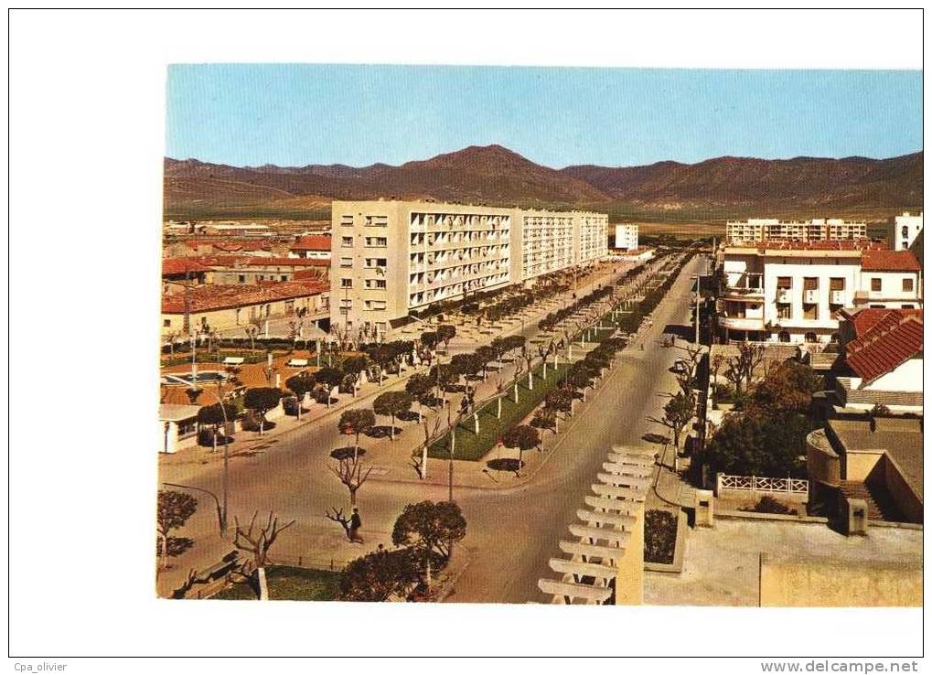 ALGERIE Batna Allées Ben Bouaid, Ed SNE 2785, CPSM 10x15, 197? - Batna