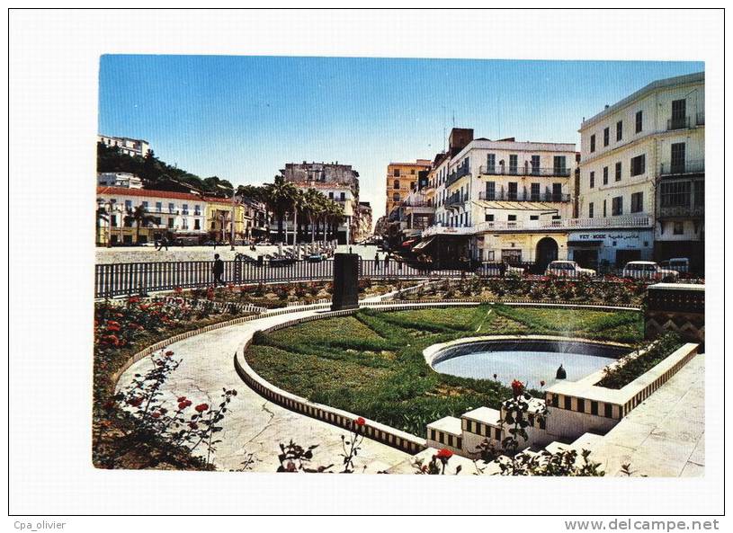 ALGERIE Skikda Place Du 1er Novembre Ed SNE 194, CPSM 10x15, 197? - Skikda (Philippeville)