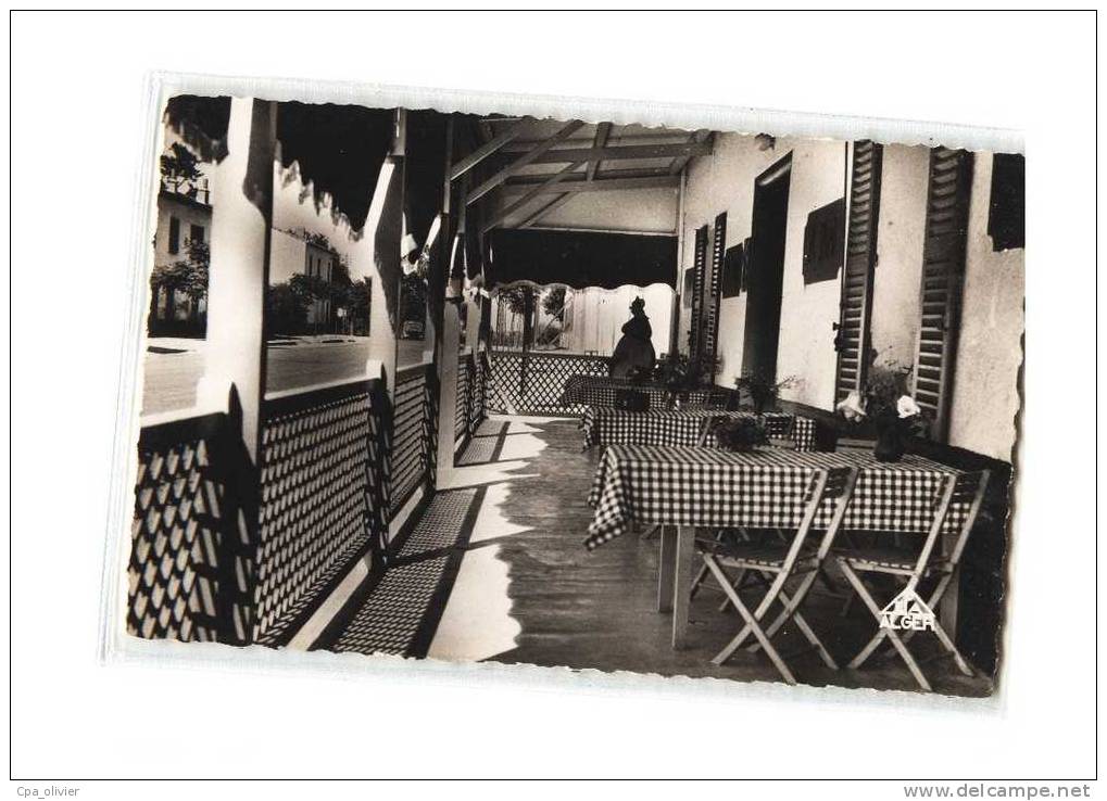 ALGERIE St Antoine, Auberge Du Faisan Doré, Terrasse, Ed EPA 1, CPSM 9x14, 195? - Skikda (Philippeville)