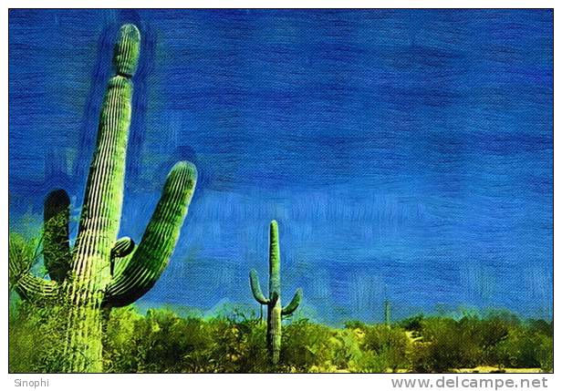 H-C-9 ^^  Cacti , Cacutusses  ,  ( Postal Stationery , Articles Postaux ) - Cactus