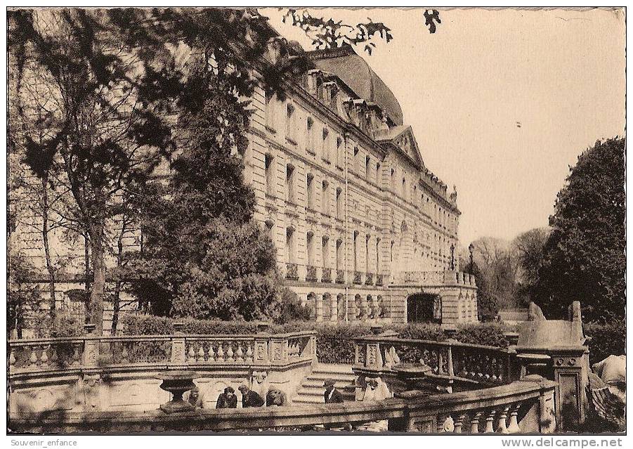 CP Donaueschingen  La Source Du Danube Et Le Château De Furstenberg  Bade Wurtemberg Allemagne - Donaueschingen