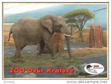 Elefant Elephant Elefant Postkarte Postcard - Elephants