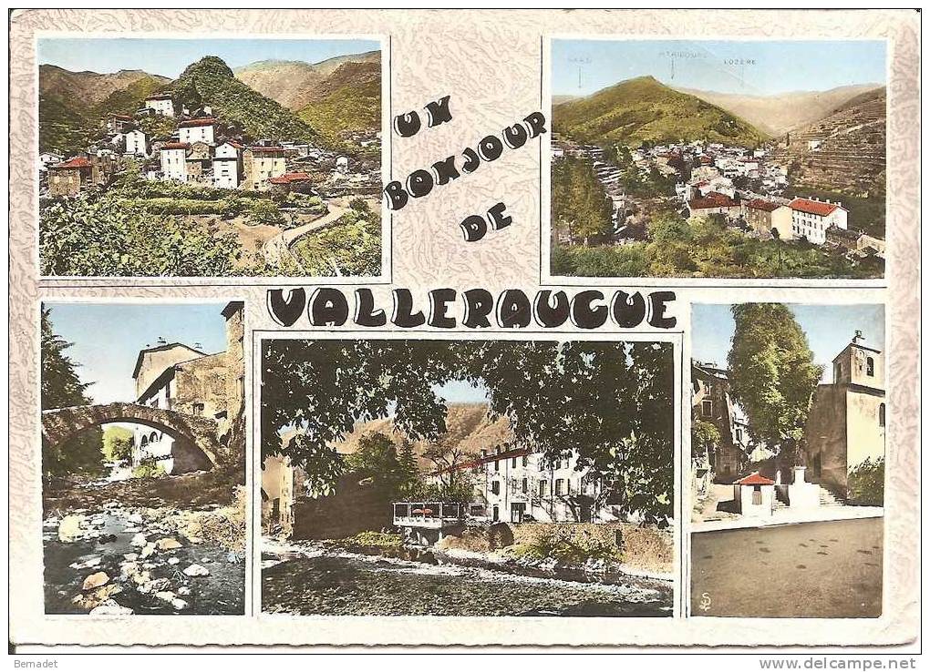 UN BONJOUR DE VALLERAUGUE - Valleraugue