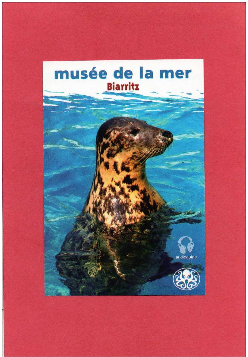 Carte Publicitaire - Musée De La Mer à Biarritz - Advertising