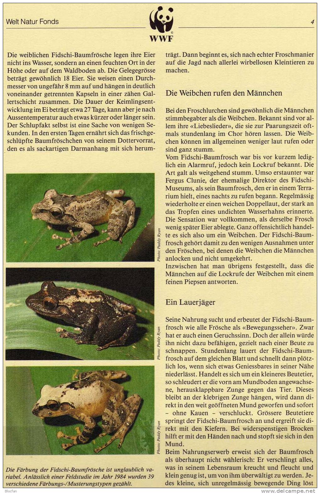 WWF-Set 72 Fidschi Insel 586/9 ** 26€ Baum-Frosch Mit Dokumentation 1988 Fauna Of Oceanien - Fiji (1970-...)