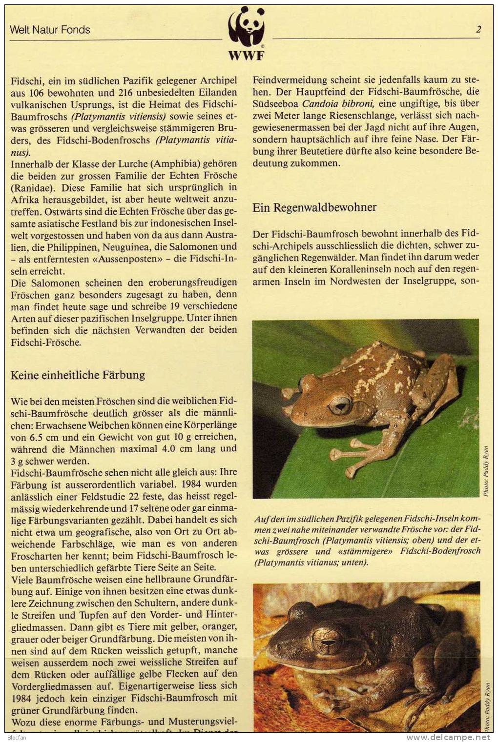 WWF-Set 72 Fidschi Insel 586/9 ** 26€ Baum-Frosch Mit Dokumentation 1988 Fauna Of Oceanien - Fidji (1970-...)