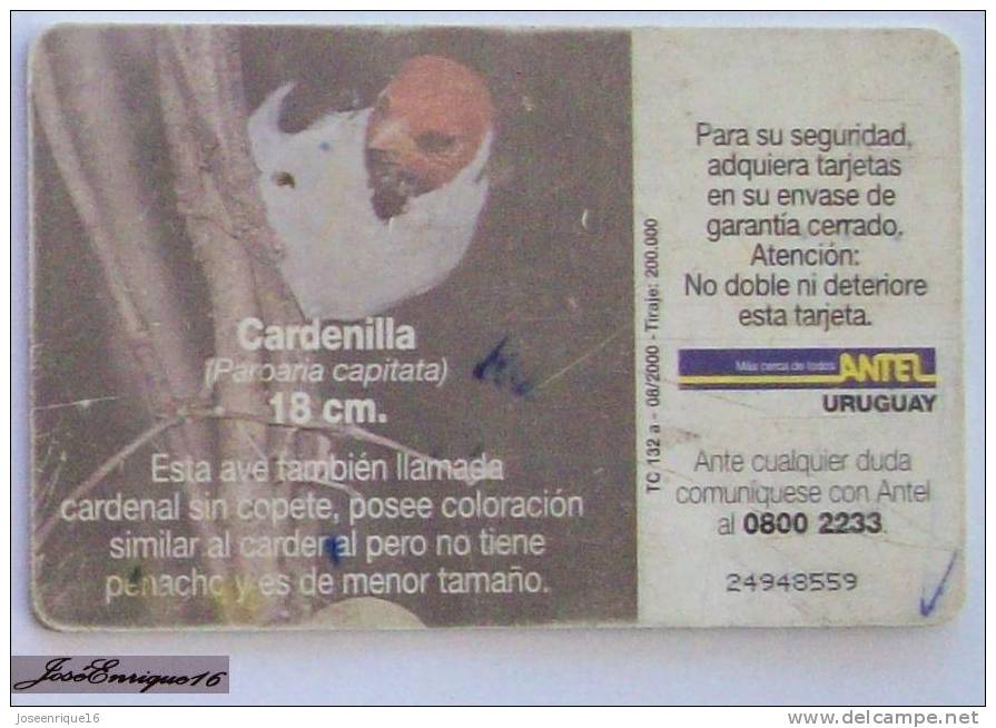 TC 132a CARDENILLA, PAROARIA CAPITATA. ANTEL, URUGUAY - Verdigris - Uruguay