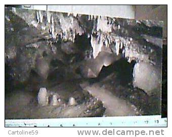 BELGIQUE  HAN SUR LESSE GROTTES DE HAN LA SALLE DES MAMELONS  VB1905 CM8294 - Ham