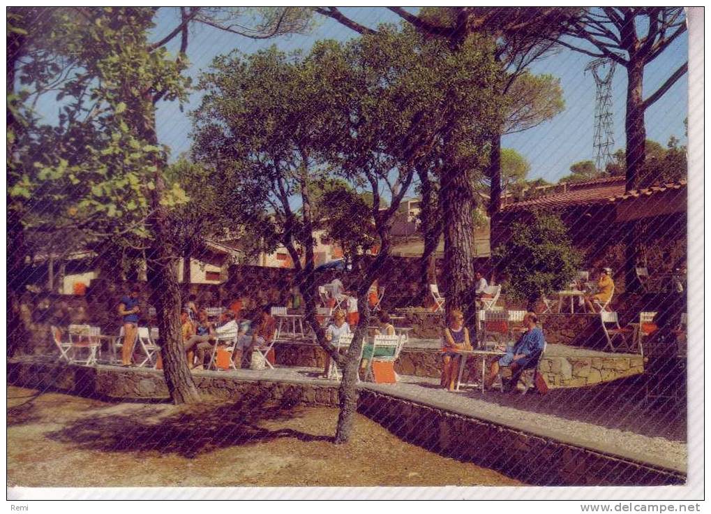 83  VAR   SAINTE MAXIME  Terrasse De BAR RESTAURANT    Lot De 2 Cartes Postales - Sainte-Maxime