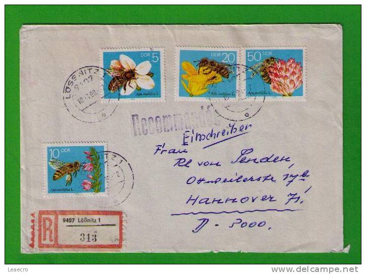 Insects Insectes Abeilles Bees Apis Mellifica L. Set Cover  DDR  1990 Faune Animals Gc922 - Abeilles