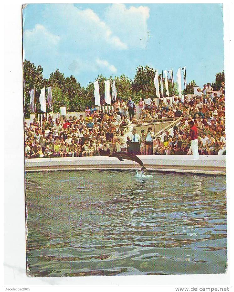 ZD4718 Animals Animaux Dauphins Dolphins Romania Constanta  Used PPC Good Shape - Dolphins