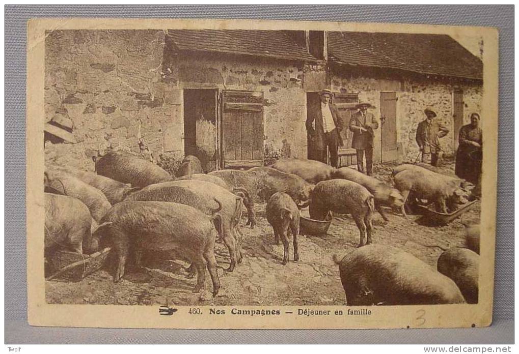 460 - Nos Campagnes - Déjeuner En Famille - Pigs