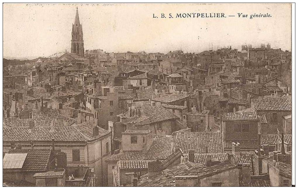 Cachet Franchise Militaire Hussards Sur Cp Montpellier - Guerre De 1914-18