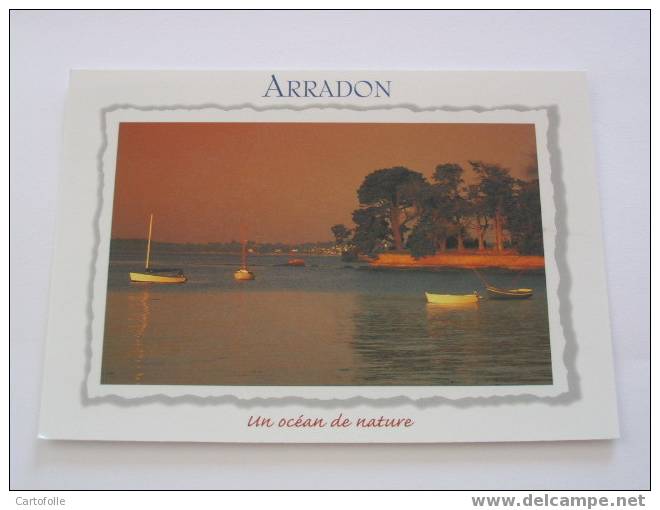 1 Carte Postale Moderne Arradon  Penboch -( Vendue Au 1er En Prix Fixe  ) - Arradon