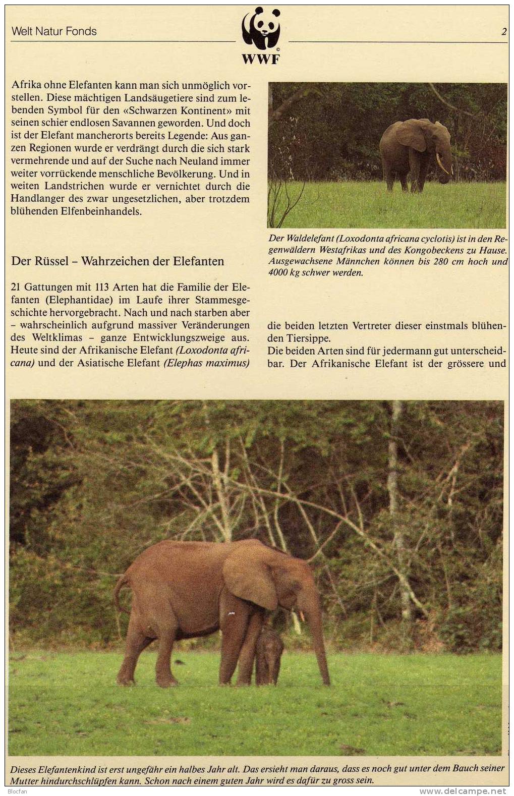 WWF-Set 61 Gabun 1009/2 4FDC 36€ Steppenelefant In Afrika Mit Dokumentation - Elefanten