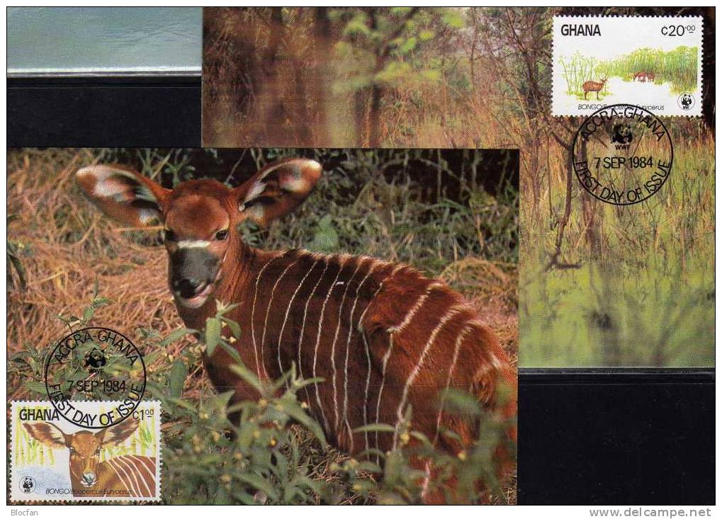 WWF-Set 15 Ghana 1060/3 **,4FDC+4MKt. 37CHF Bongo Antilope Der Steppe Dokumentation 1984 Cover Maxicard Set Of Africa - Storia Postale