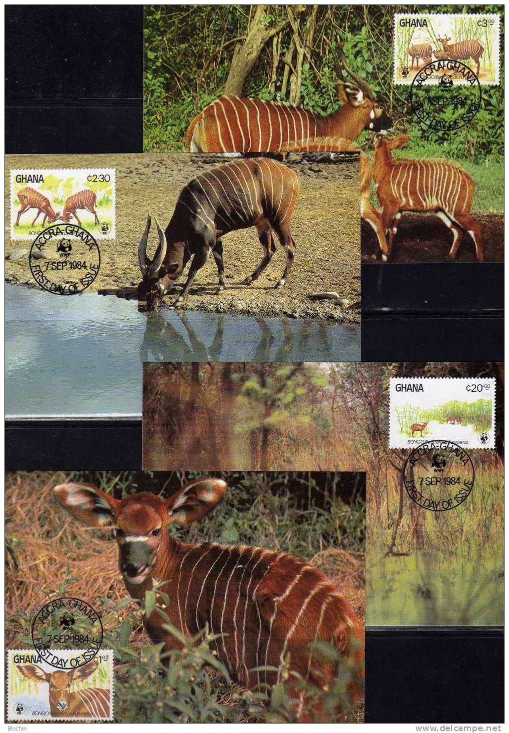 WWF-Set 15 Ghana 1060/3 **,4FDC+4MKt. 37CHF Bongo Antilope Der Steppe Dokumentation 1984 Cover Maxicard Set Of Africa - Lettres & Documents