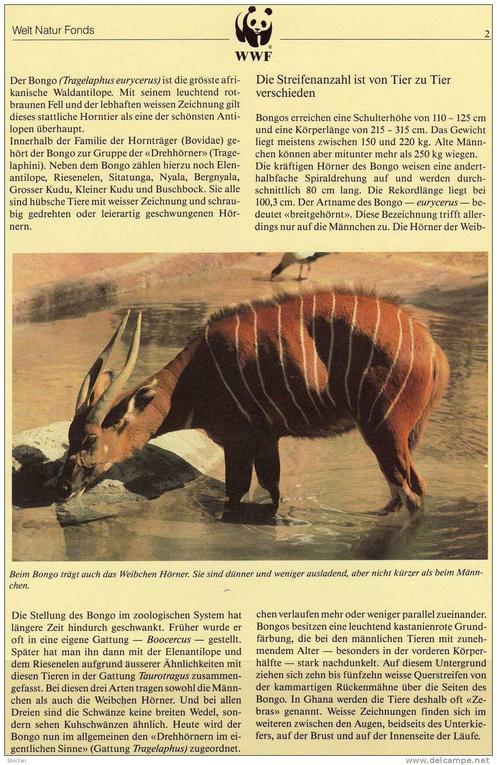 WWF-Set 15 Ghana 1060/3 **,4FDC+4MKt. 37CHF Bongo Antilope der Steppe Dokumentation 1984 cover maxicard set of Africa