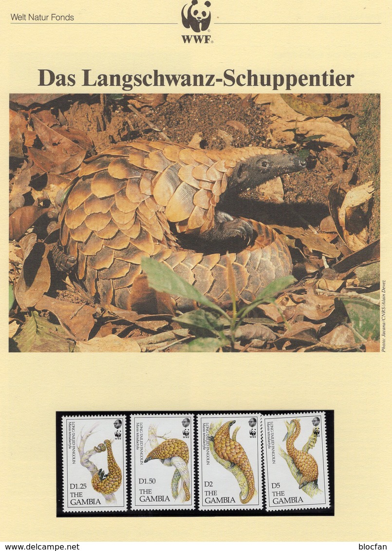 1993 WWF 159 Gambia 1550/3 ** 7€ Langschwanz-Schuppentier Naturschutz Dokumentation Wildlife Set Pangolin Of AFRICA - Gambie (1965-...)