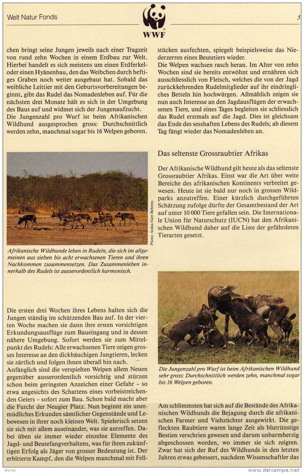 WWF-Set 58 Guinea 1114/7 4FDC 16€ Wilder Hund Aus Afrika Mit Dokumentation - Protection De L'environnement & Climat