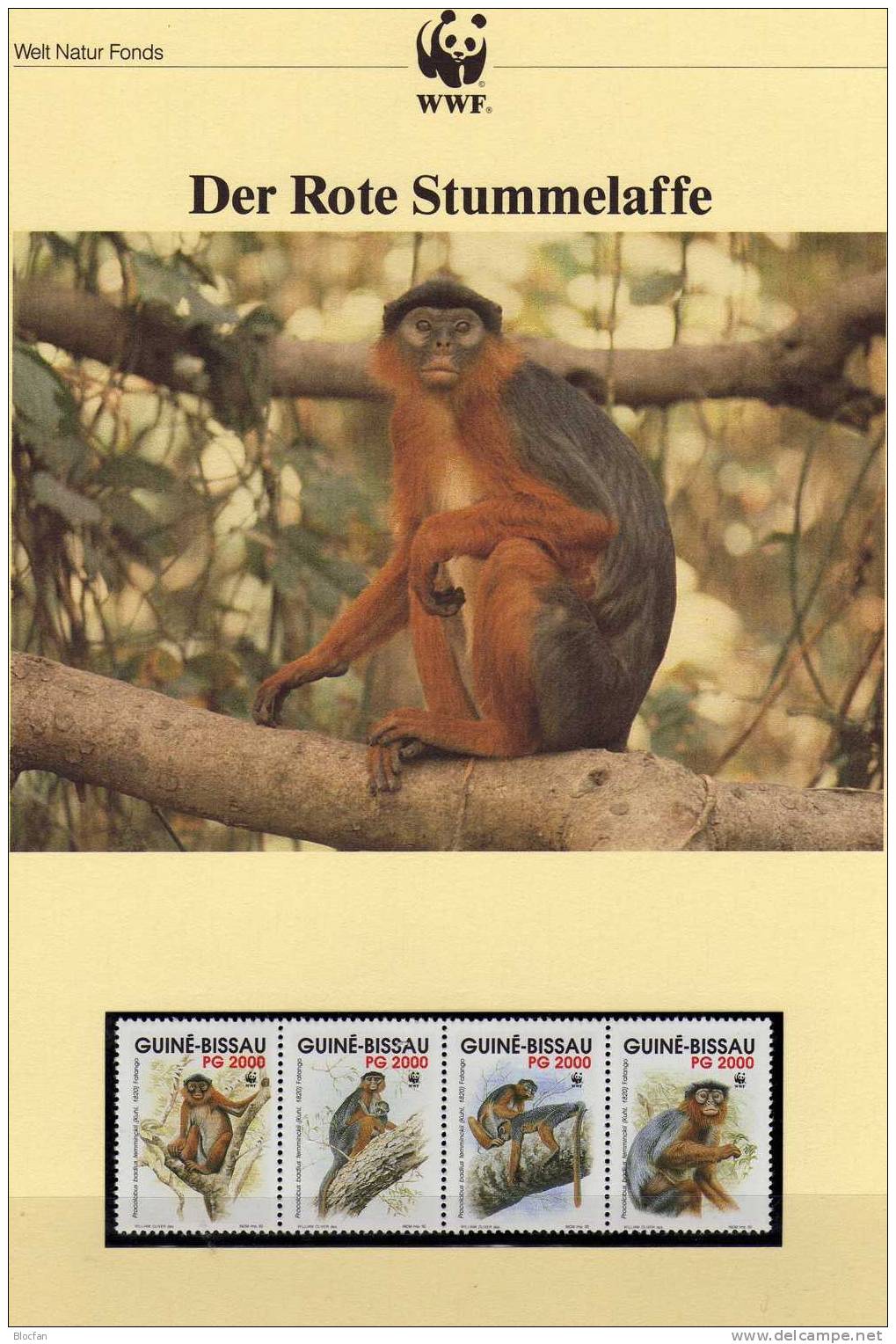 WWF-Set 135 Guinea Bissau 1185/8 ** 5€ Roter Stummel-Affe 1992 Auf Dem Baum Dokumentation Fauna Monkey Set Of Africa - Umweltschutz Und Klima